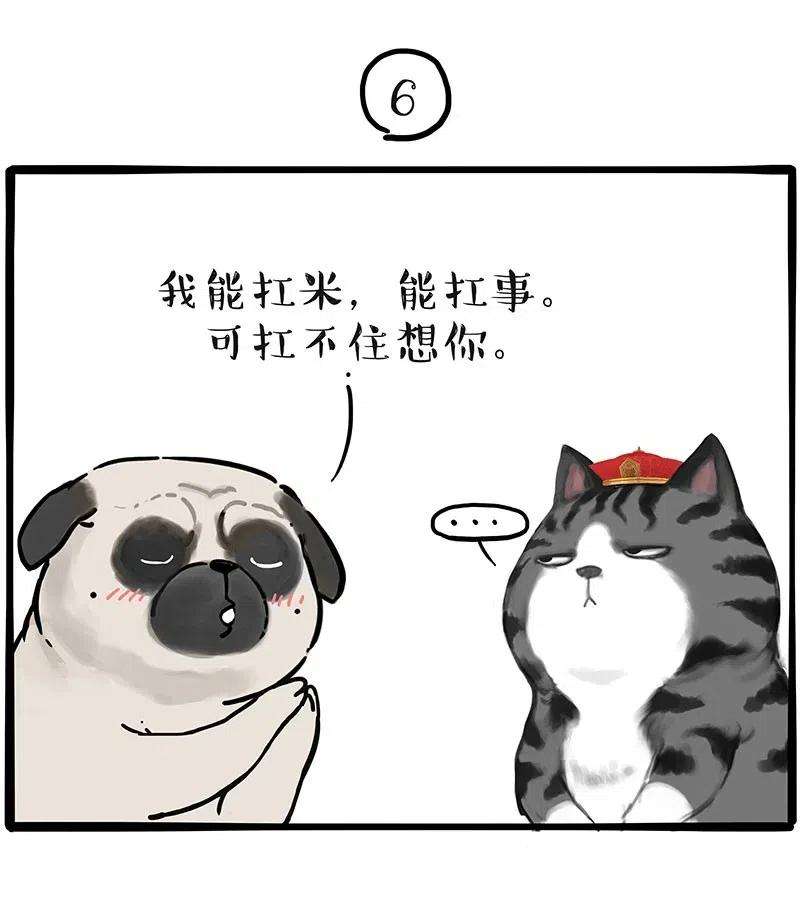 16.jpg
