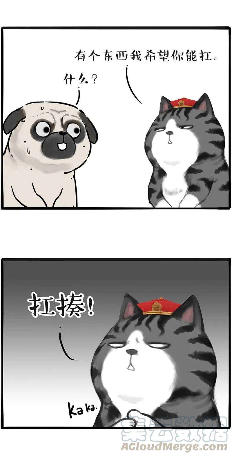 17.jpg