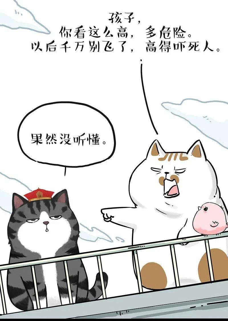 18.jpg