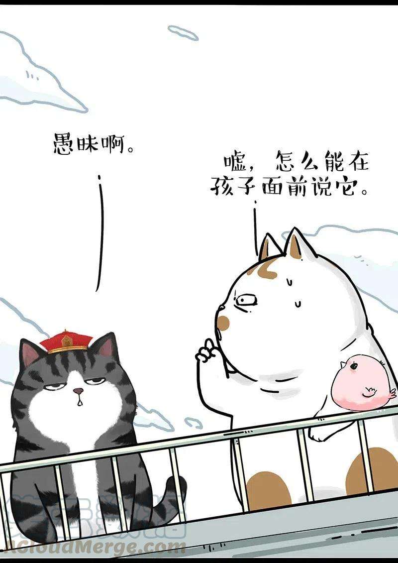 19.jpg