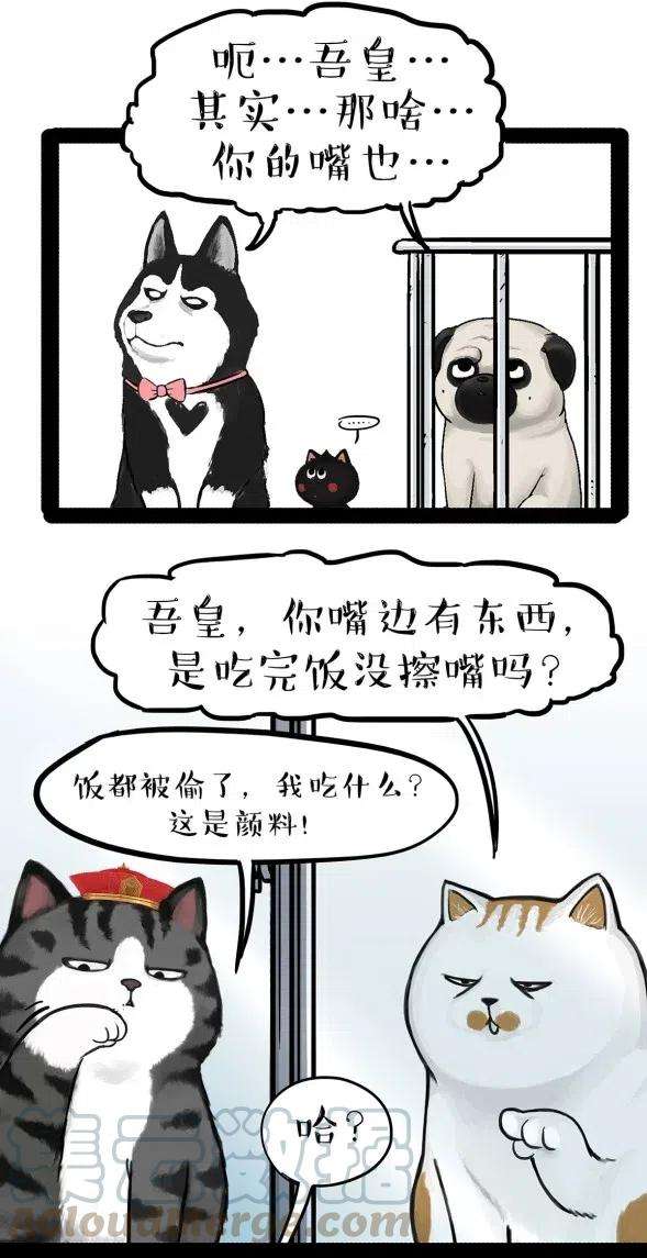27.jpg
