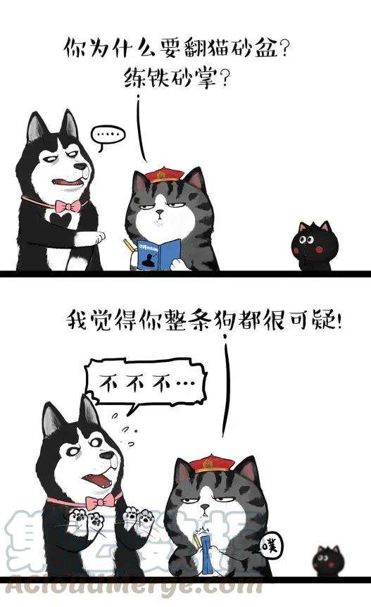 19.jpg