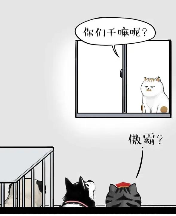 24.jpg