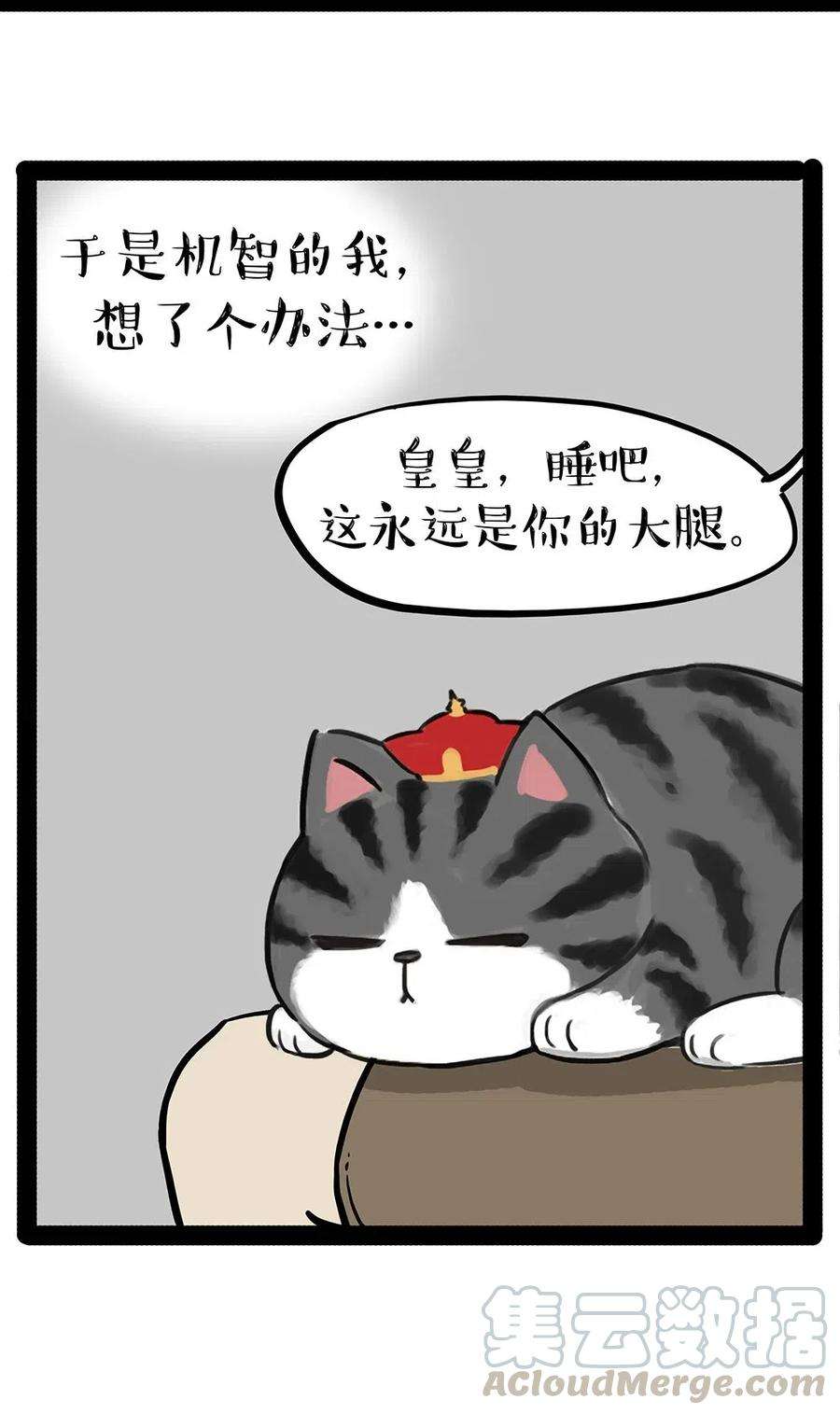 29.jpg