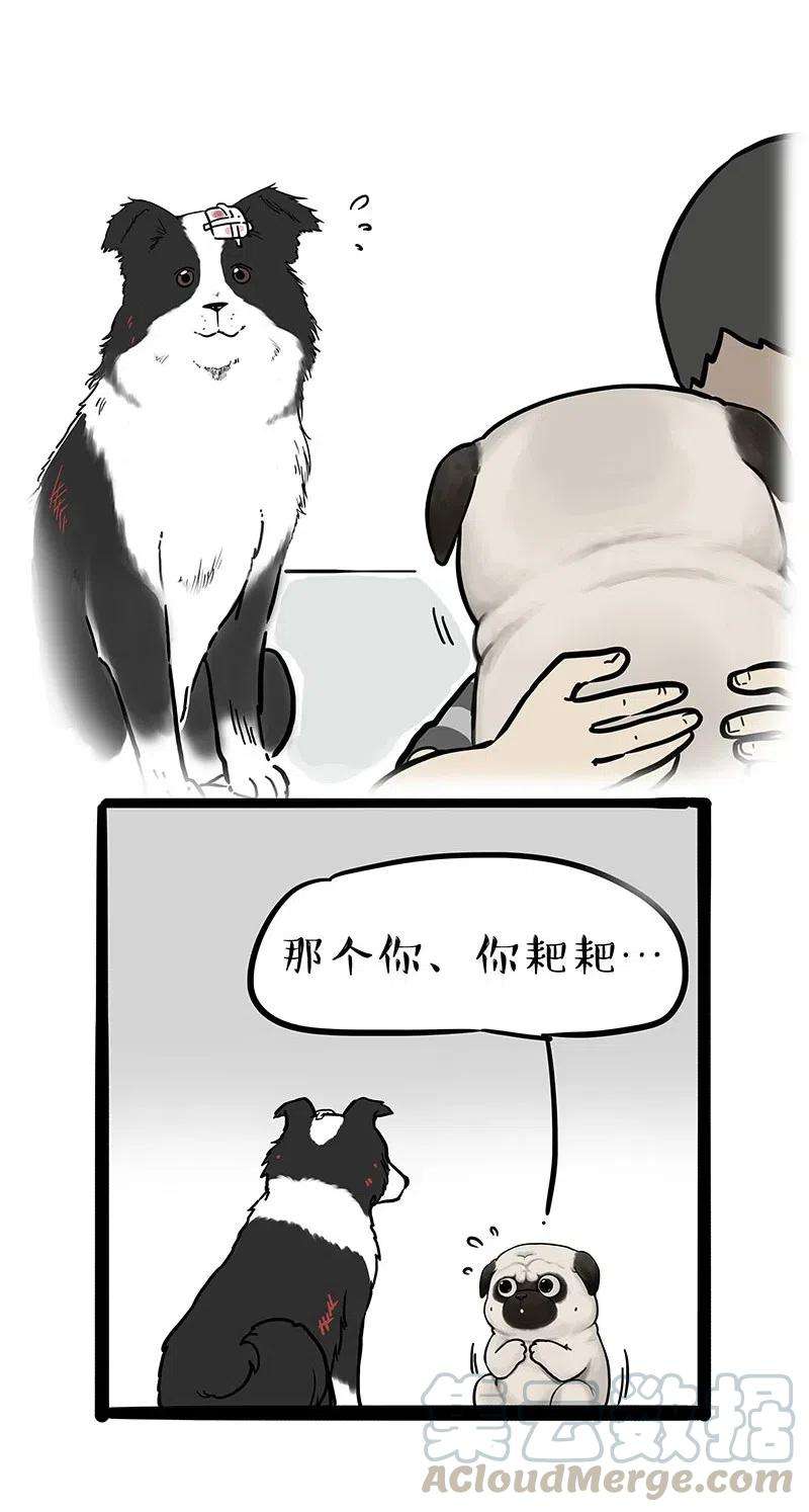 35.jpg