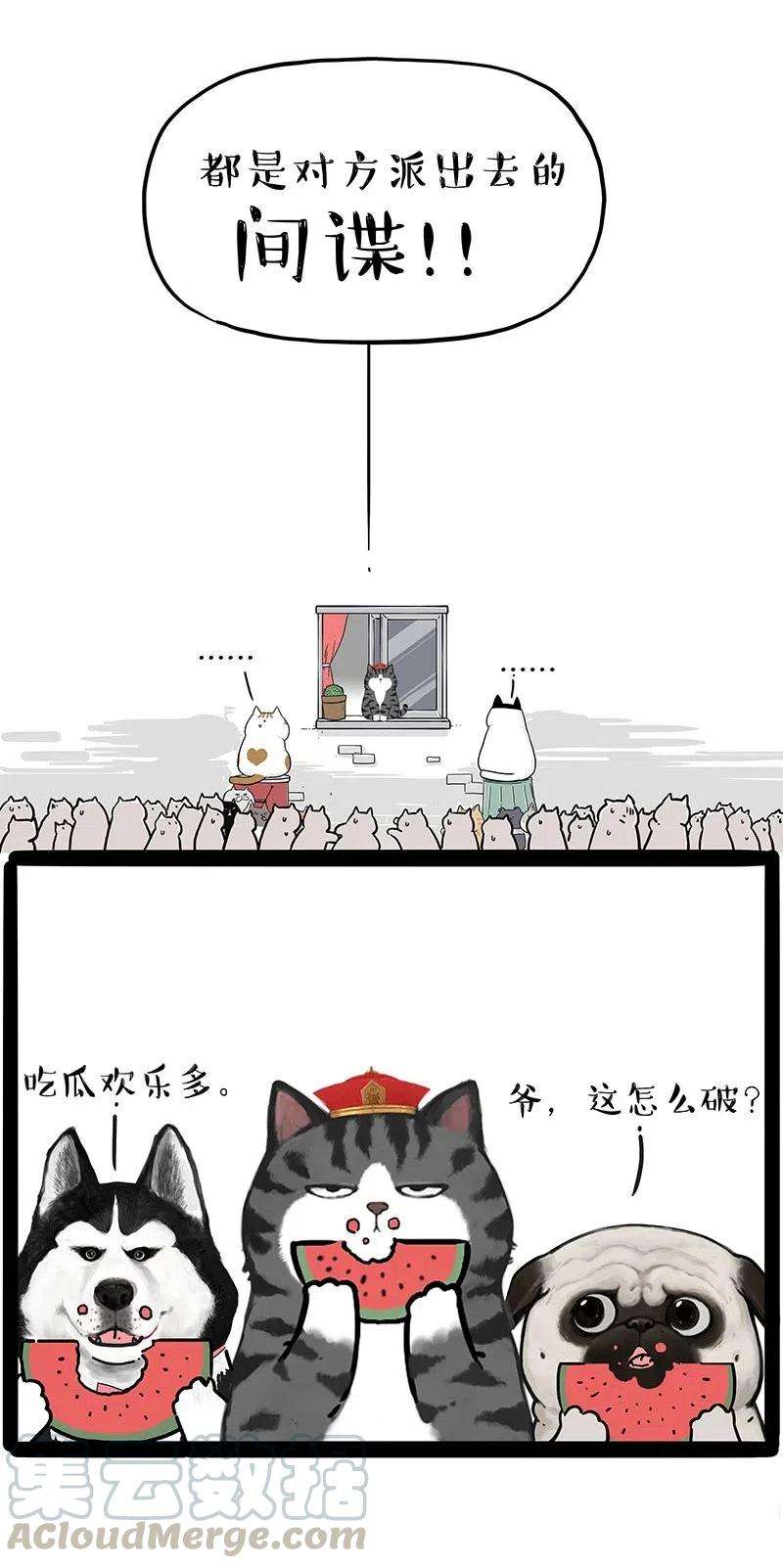 19.jpg