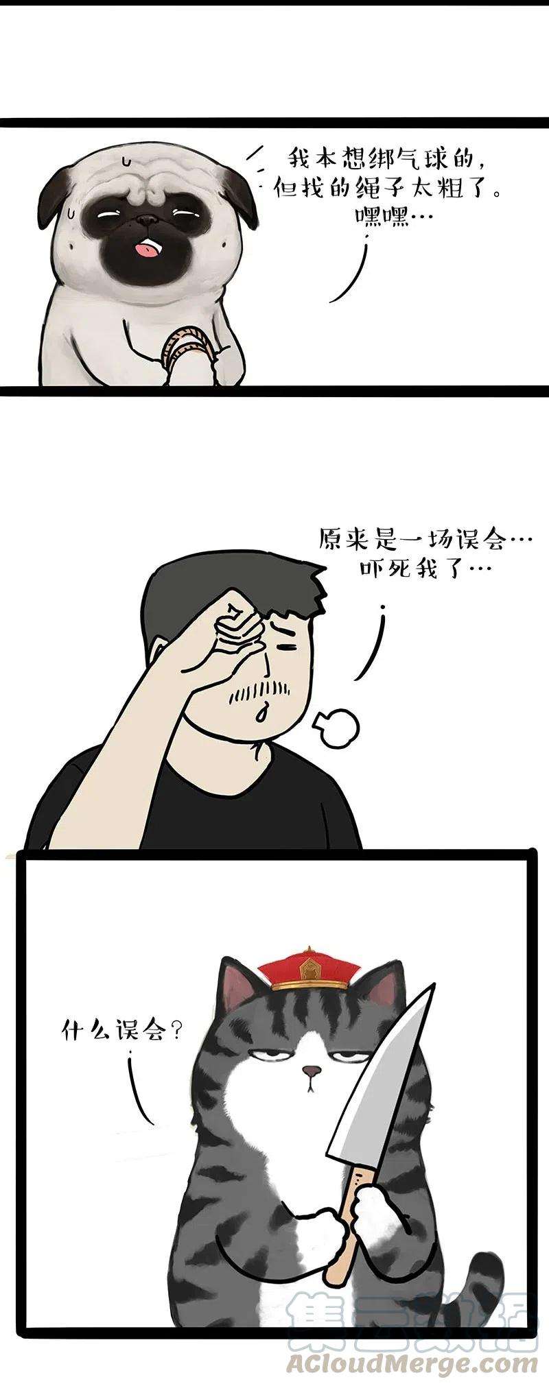 35.jpg