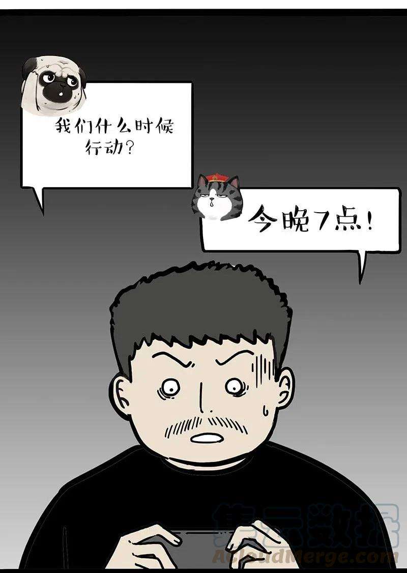29.jpg