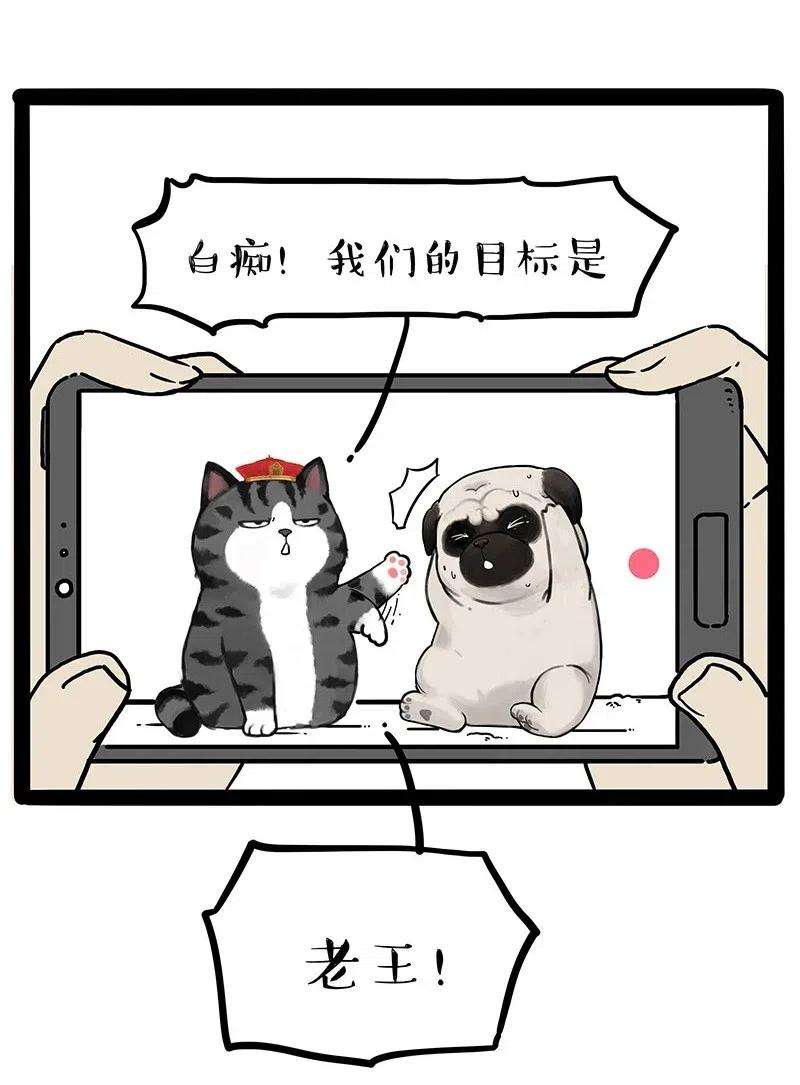 28.jpg