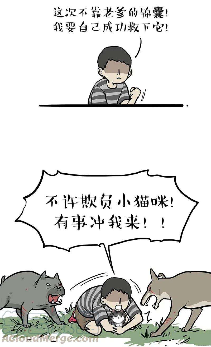 21.jpg