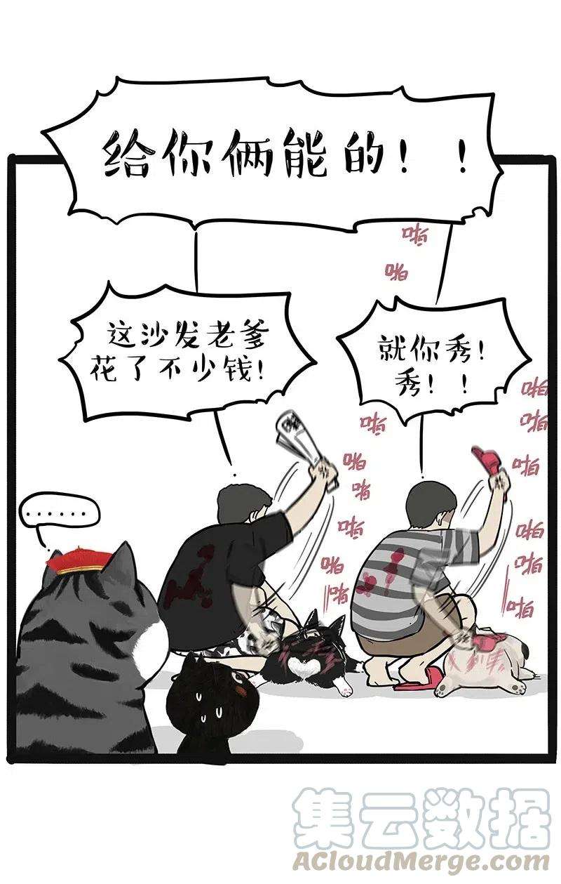 11.jpg
