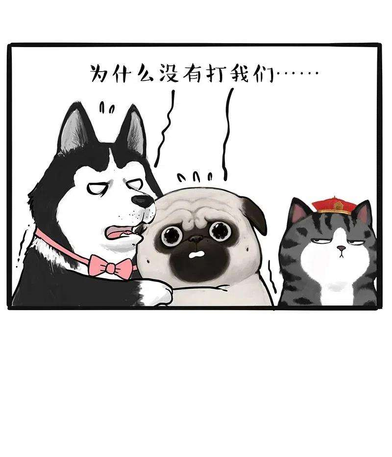 32.jpg