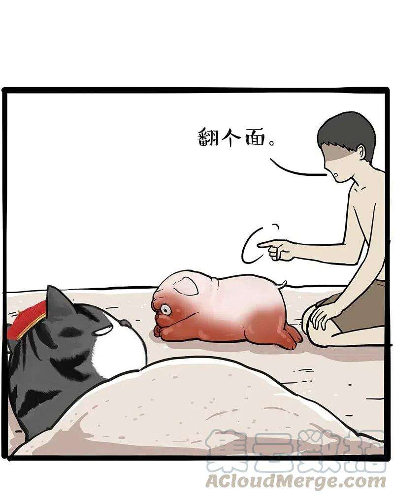 17.jpg