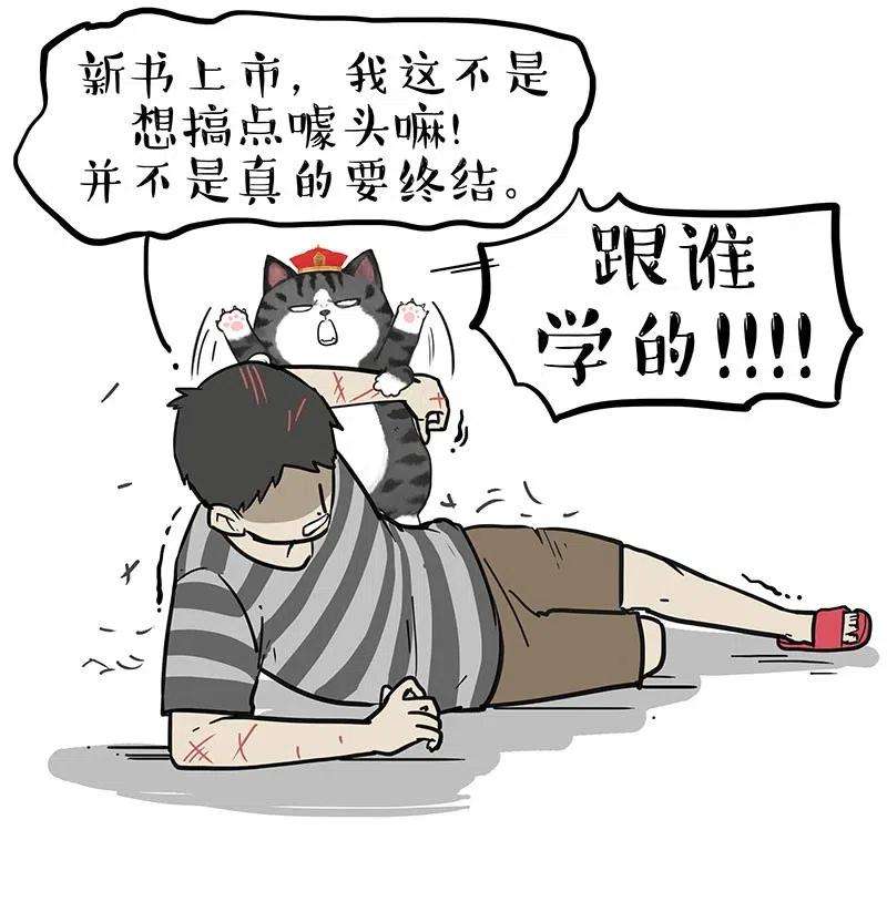 26.jpg