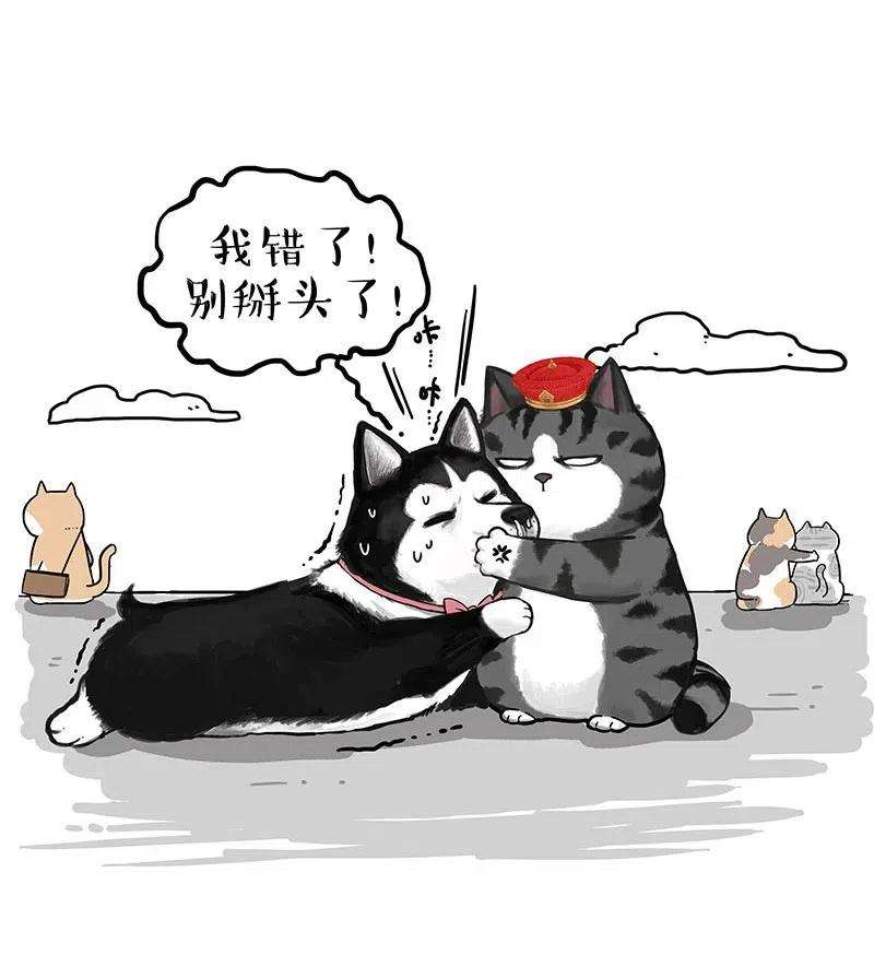 24.jpg