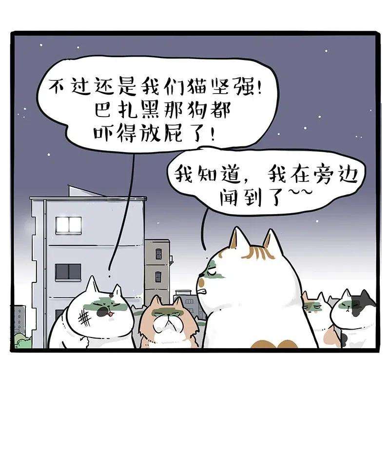 38.jpg