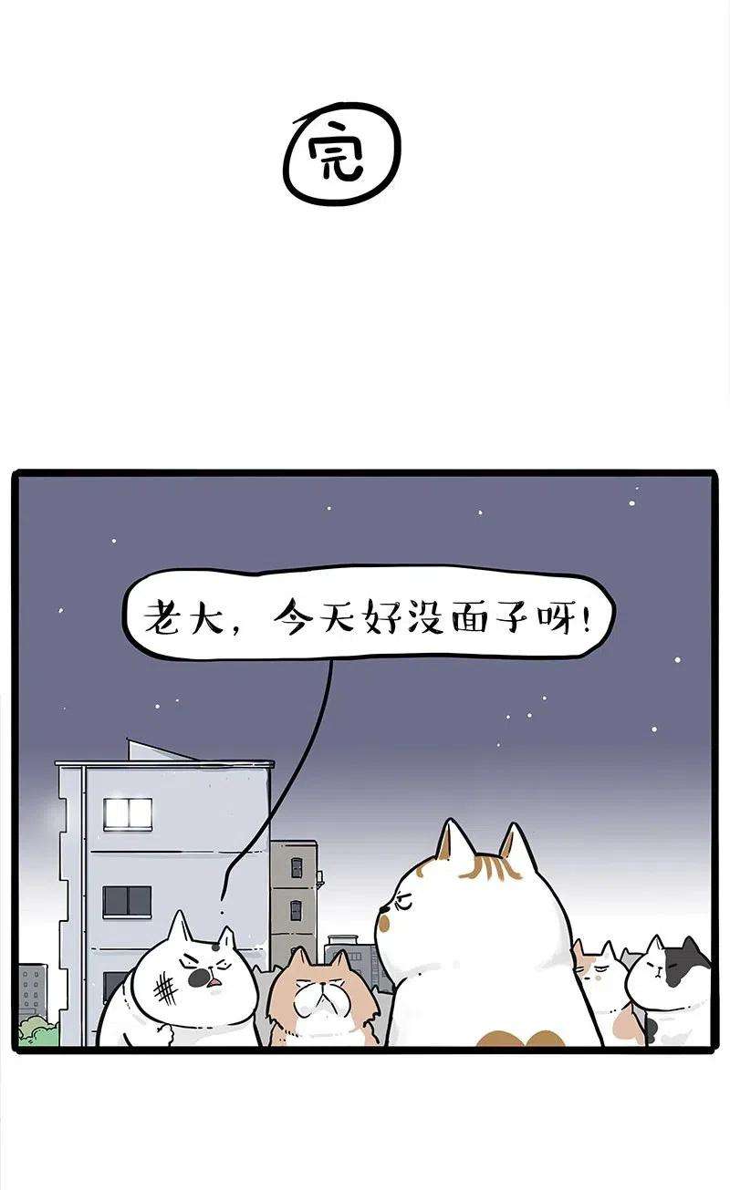 36.jpg