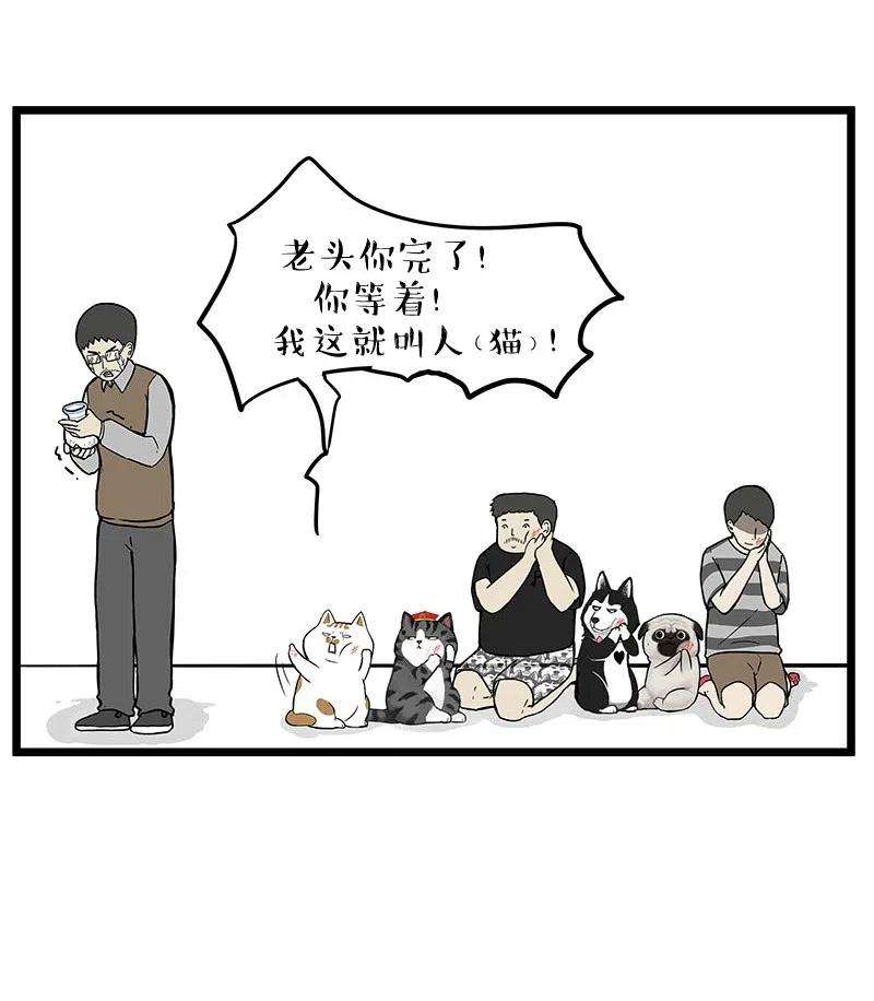 18.jpg