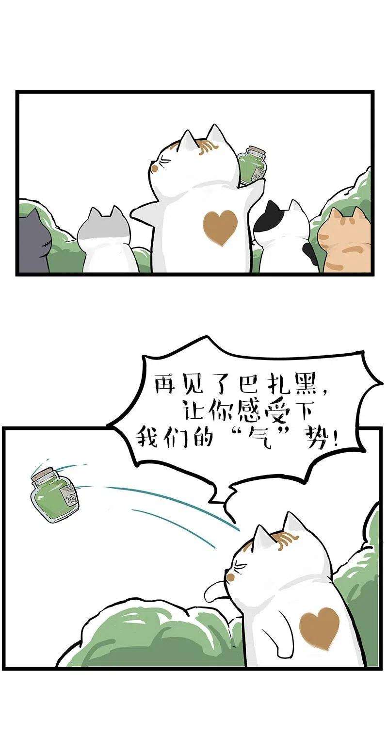 17.jpg