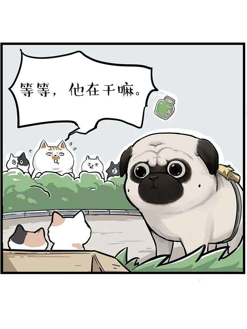 18.jpg