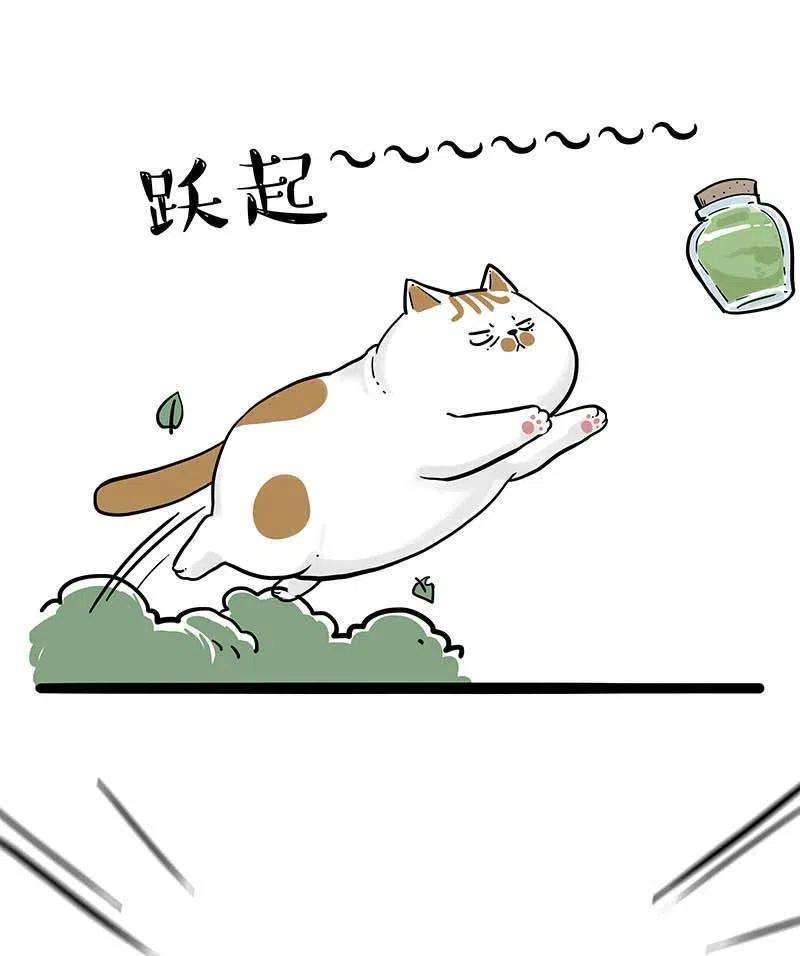 24.jpg