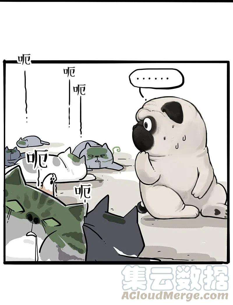 37.jpg