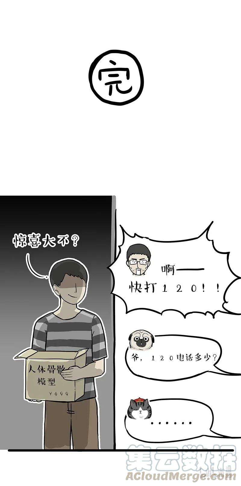 21.jpg