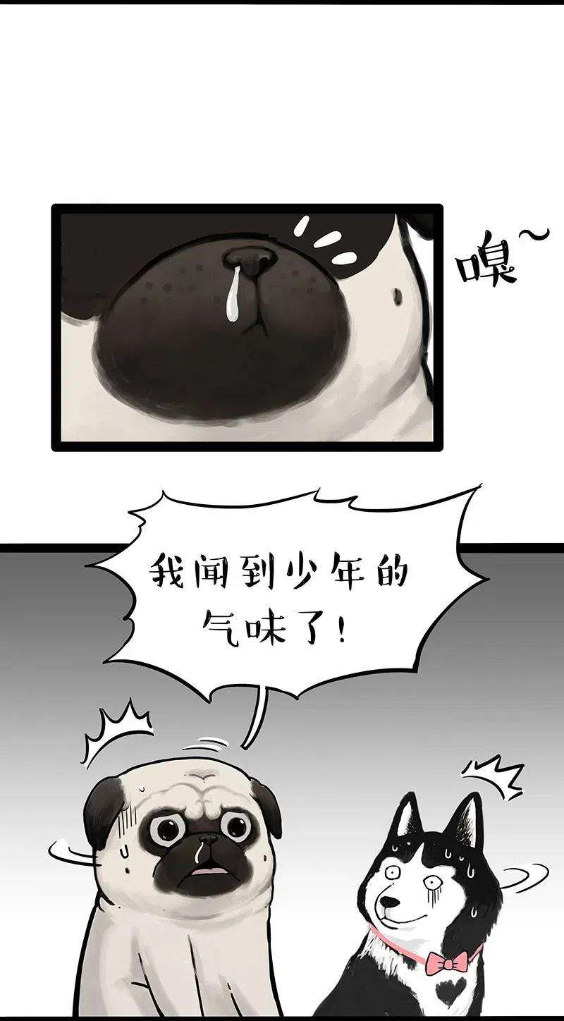 18.jpg