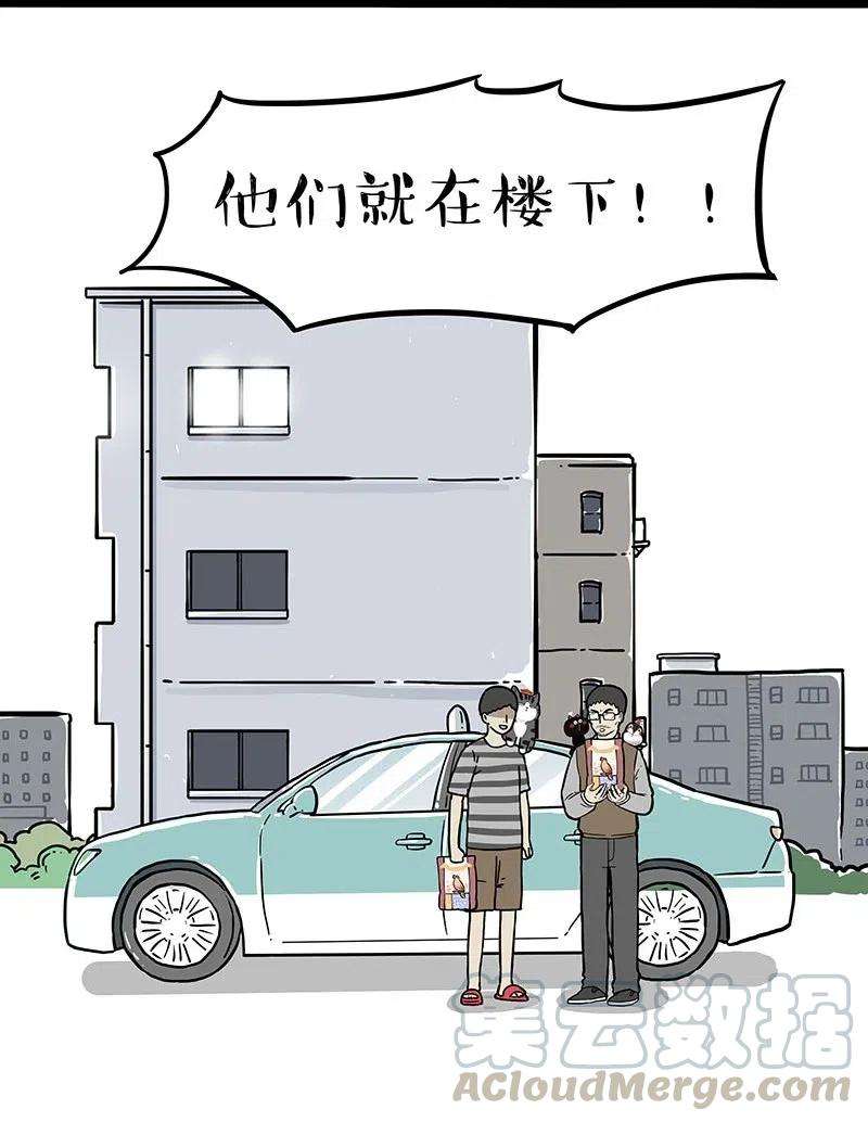 19.jpg