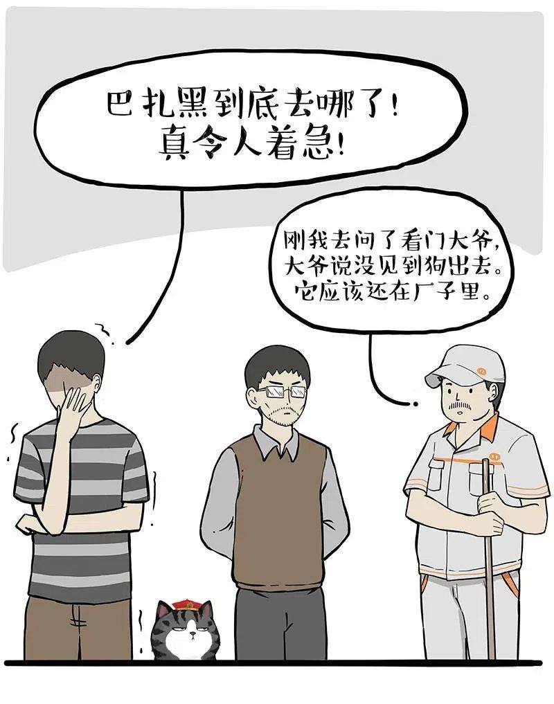 20.jpg