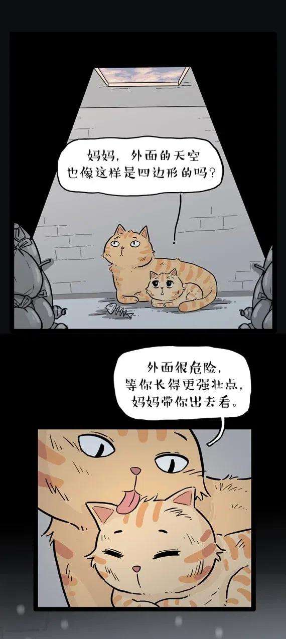 29.jpg