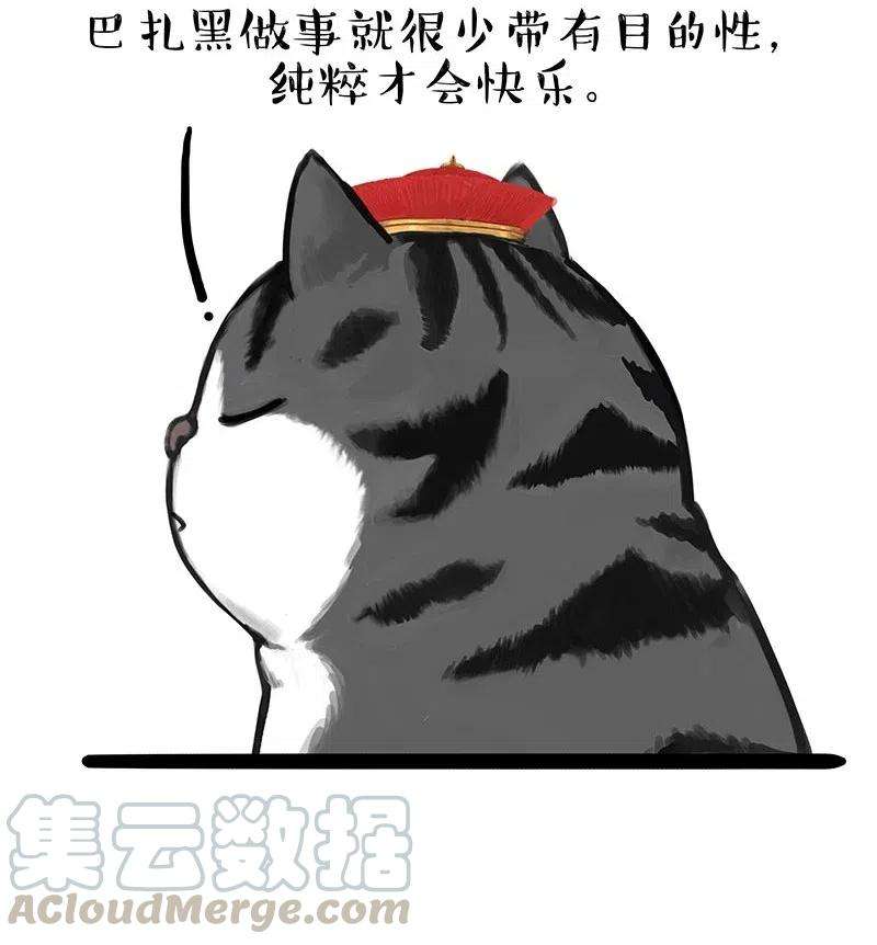 27.jpg
