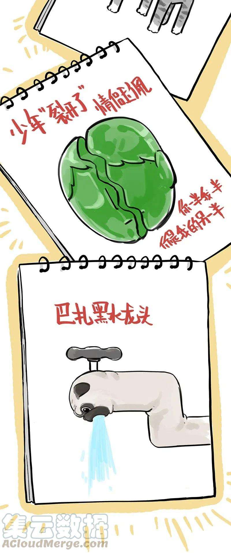 23.jpg