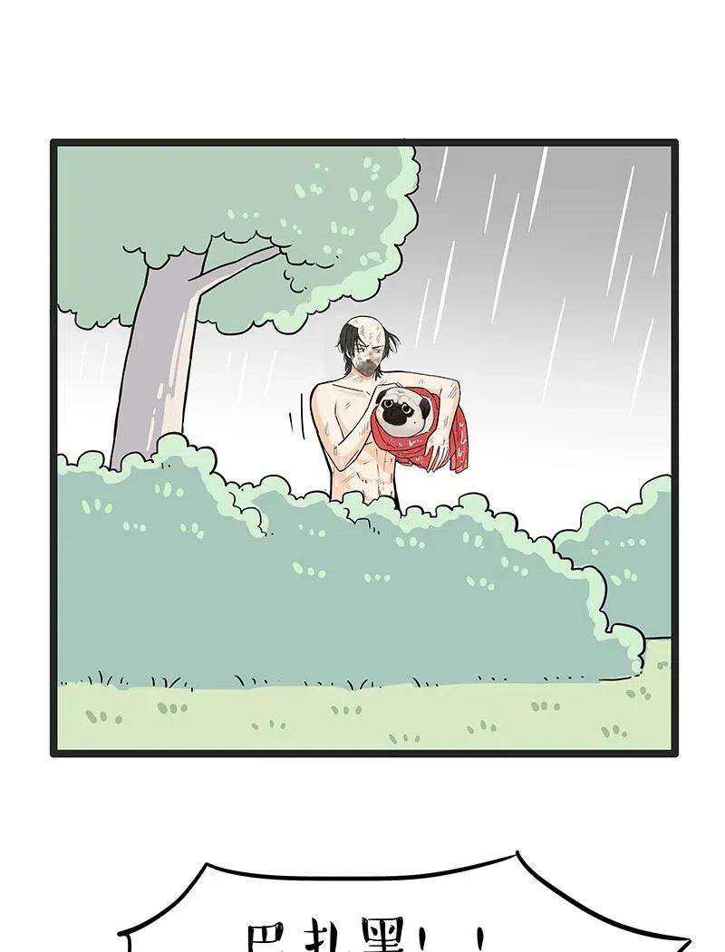 41.jpg