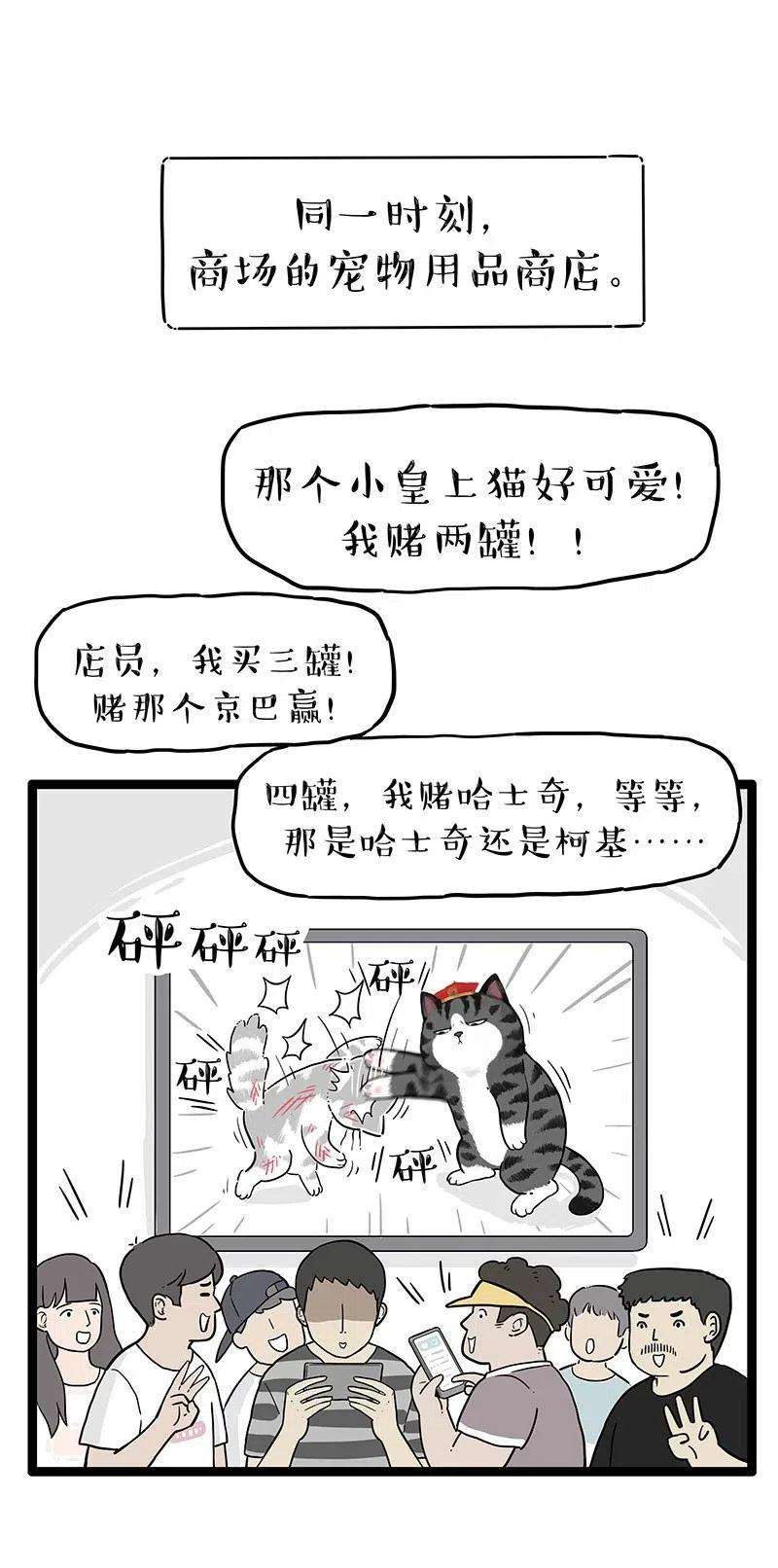 18.jpg