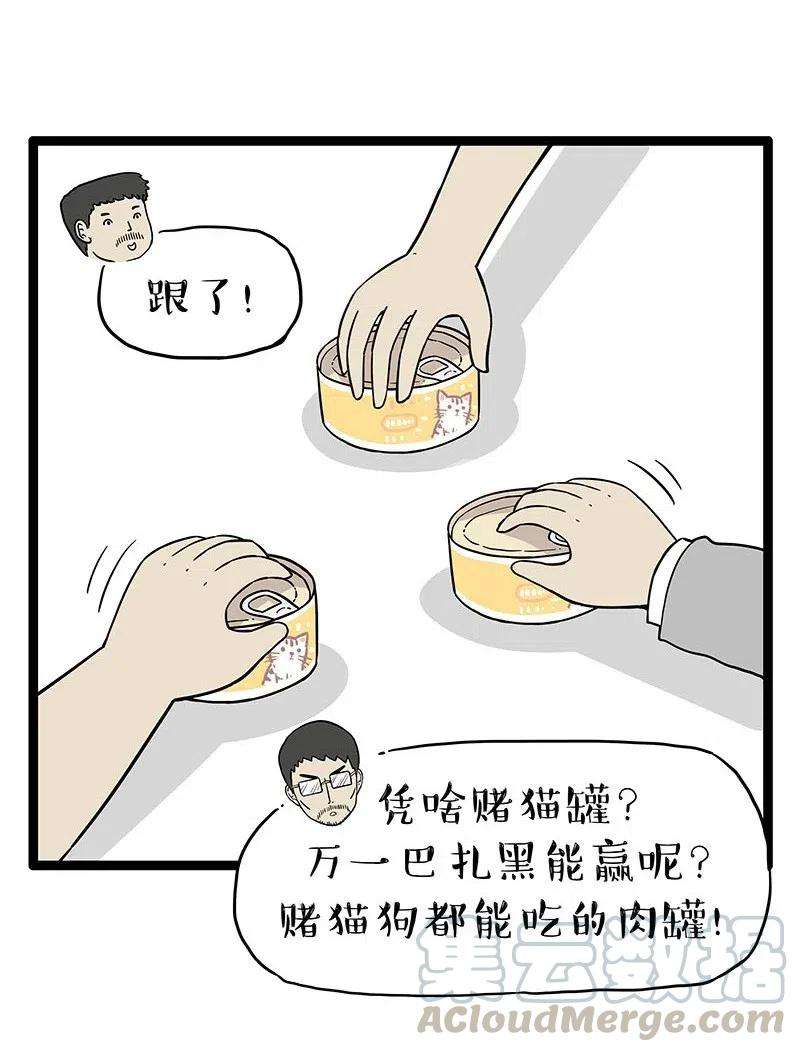 11.jpg