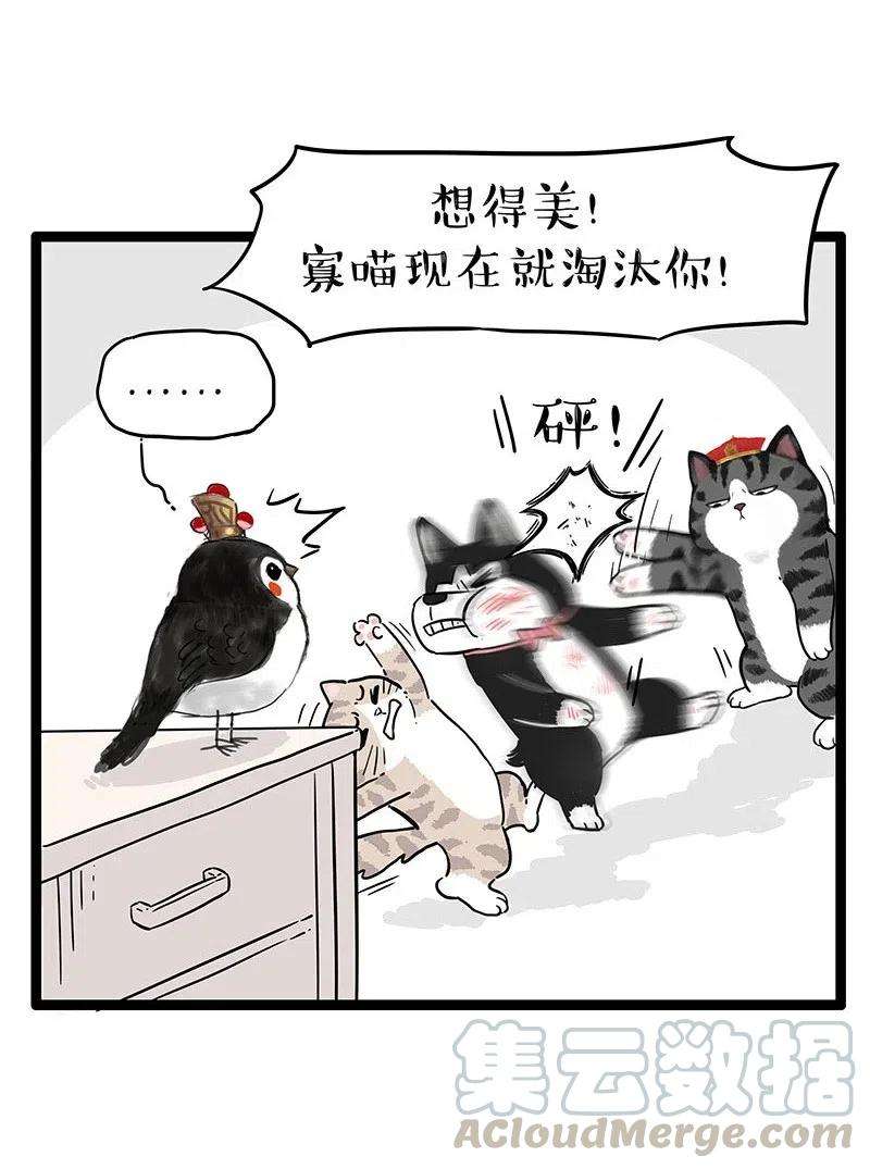 25.jpg