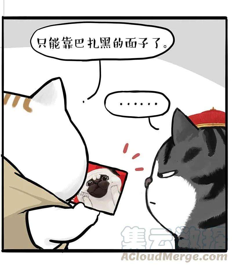 19.jpg
