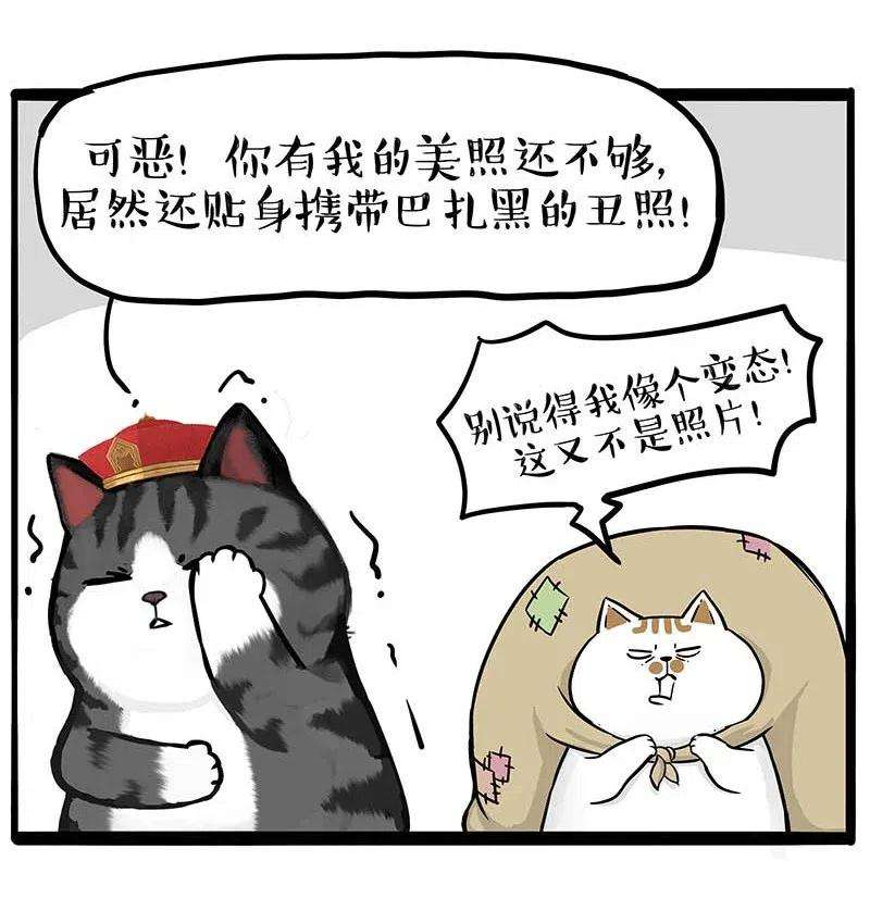 20.jpg
