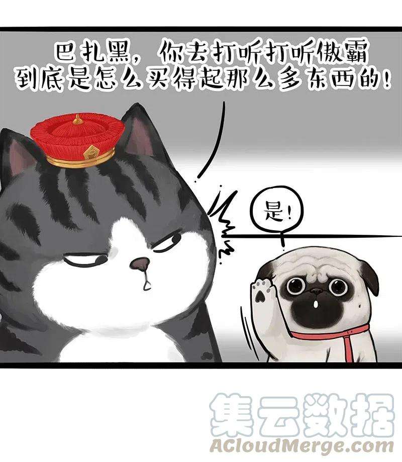 13.jpg