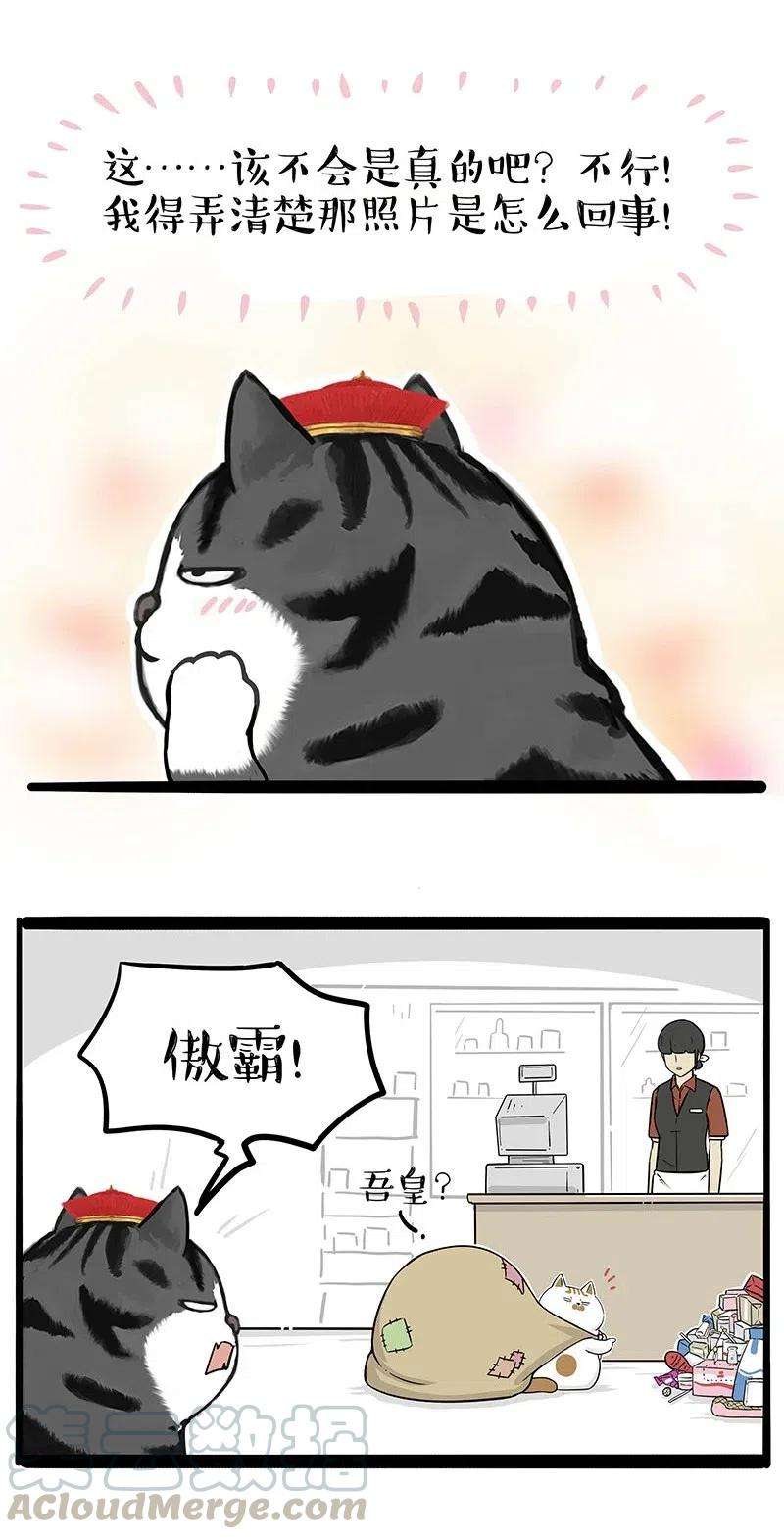 17.jpg
