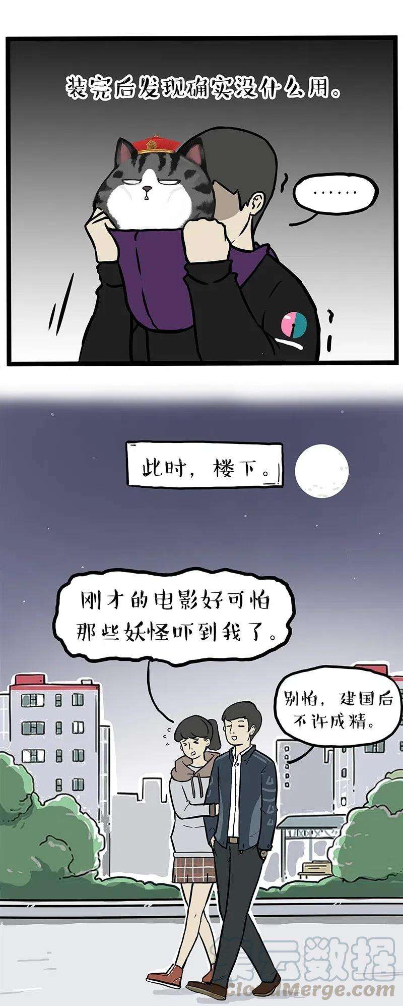 19.jpg