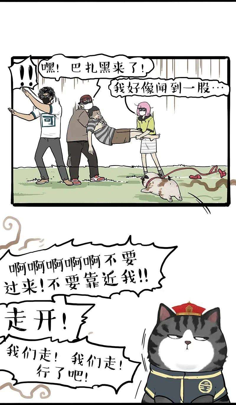 34.jpg