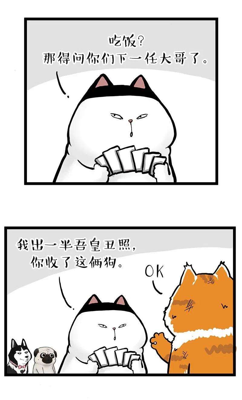36.jpg
