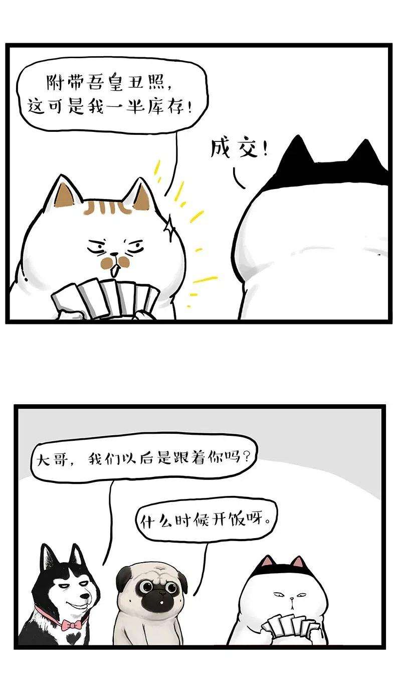 35.jpg