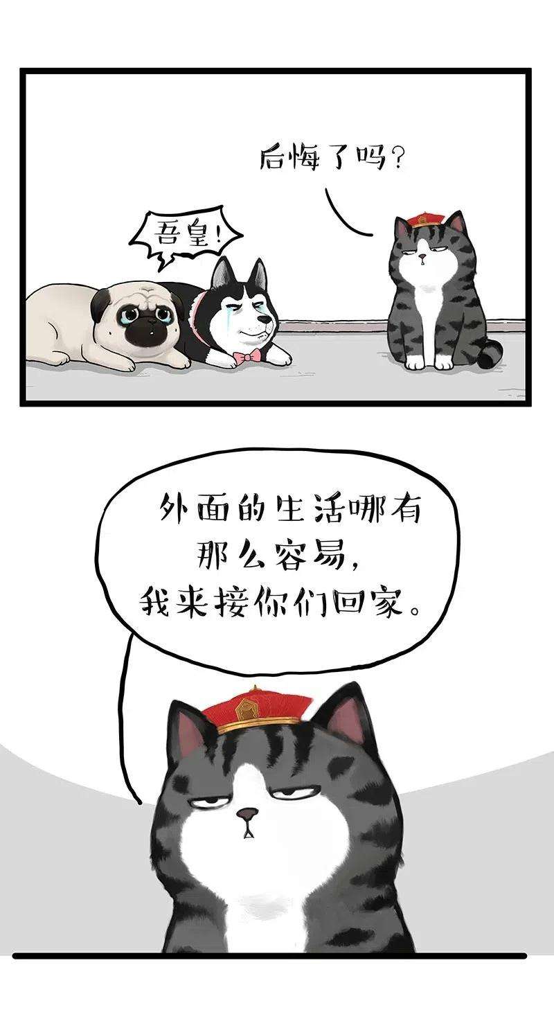 41.jpg