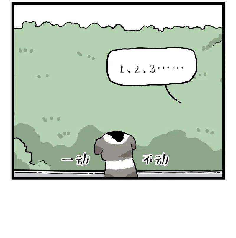 48.jpg