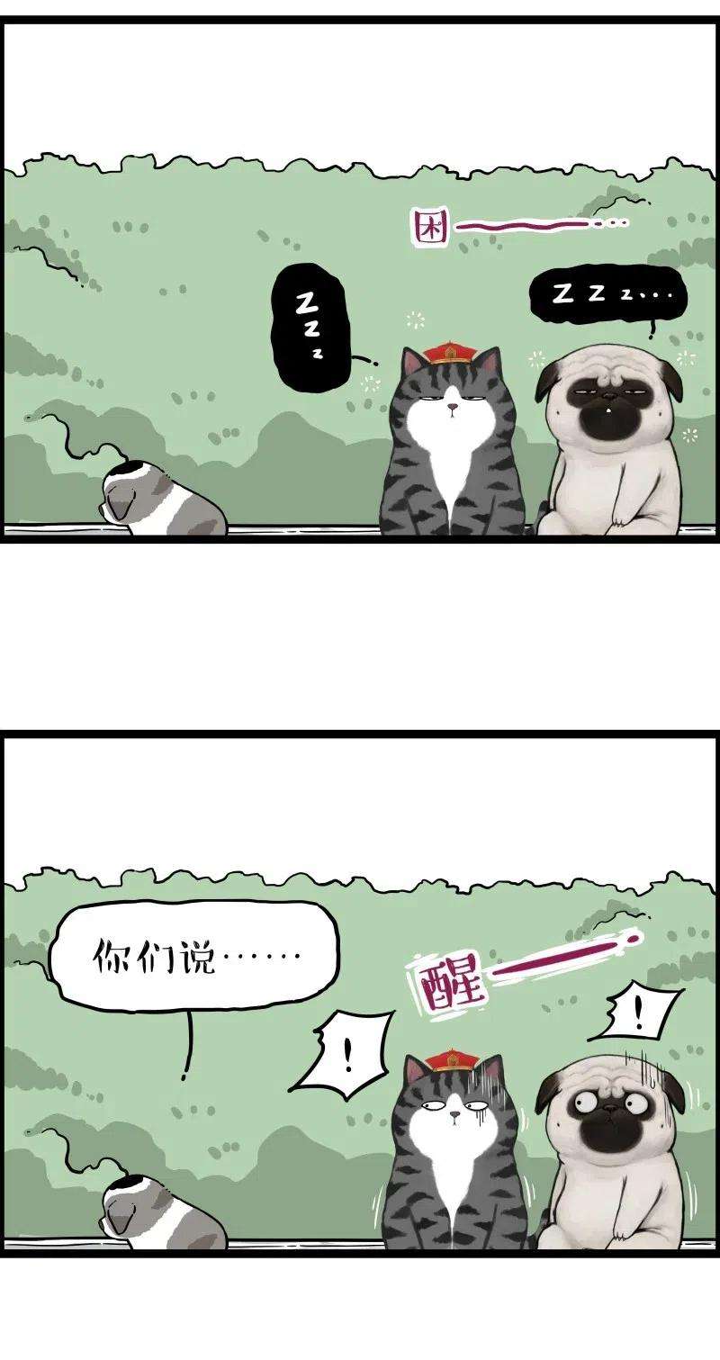 42.jpg