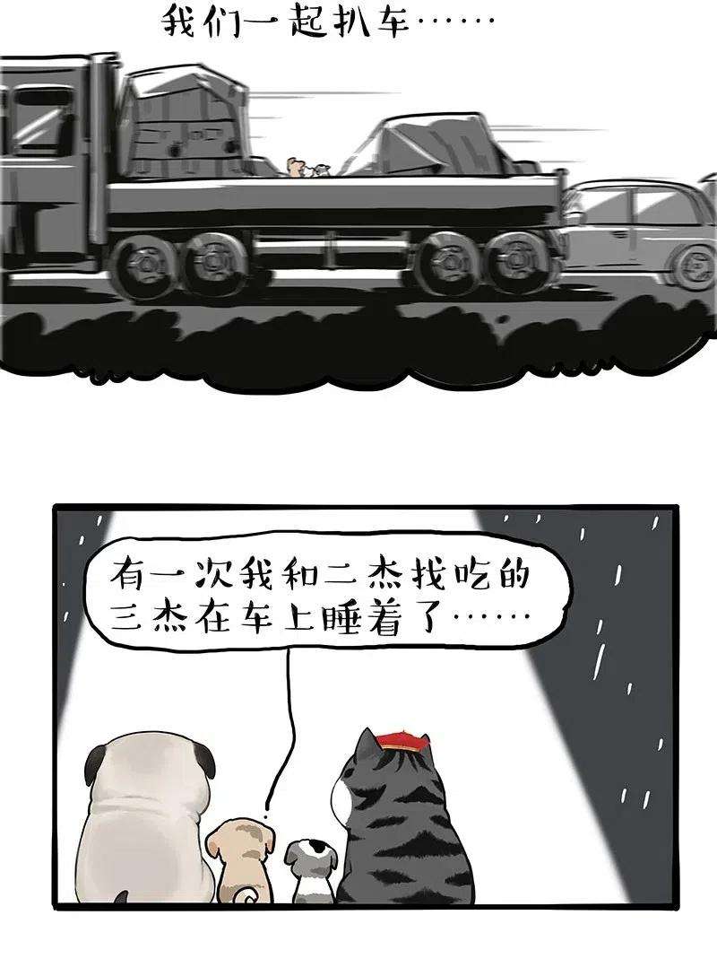 11.jpg