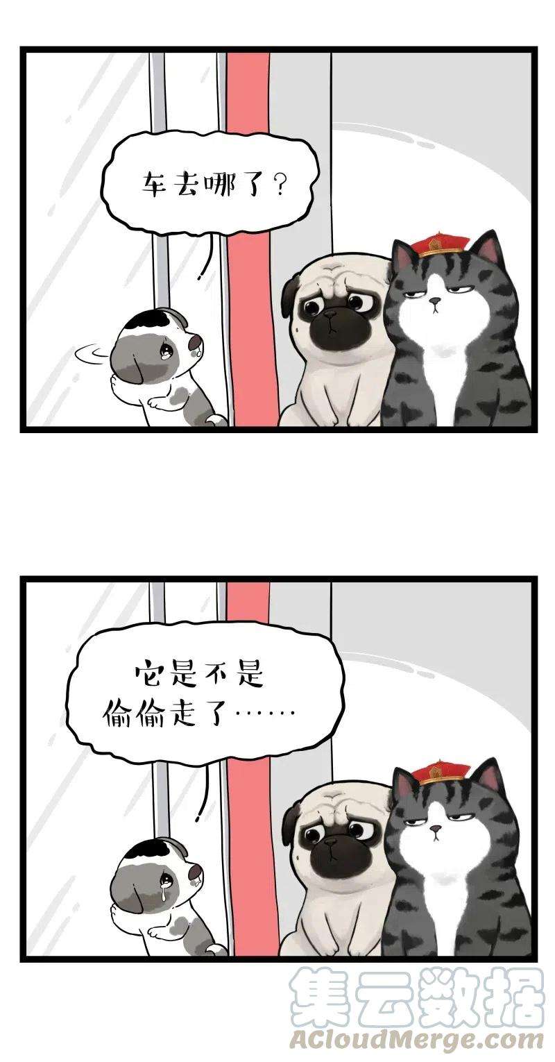 31.jpg